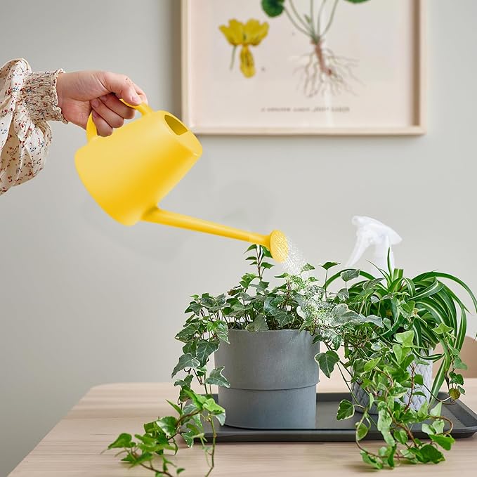 Indoor and Outdoor Watering Can - Long Spout -1/2 Gallon (64oz) - Yellow
