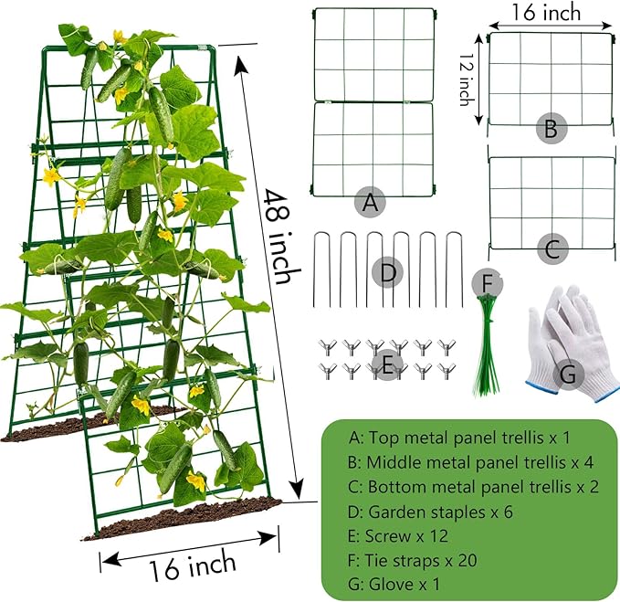Thickened Cucumber Trellis for Raised Garden Bed,48"x16" Foldable Frame Metal Vegetable Trellis for Climbing Plants Outdoor Plant Support for Grape Tomato Peas, Fruit, Vine,Bean(Green) (2)