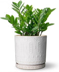 Eightpot 8 Inch Plant Pot, Ceramic Planter for Indoor Plants Outdoor, Round Planter with Drainage Hole and Tray, Boho Flower Pot, Decorative Pots for Plants, Home Decor, Plant Lover Gifts, White