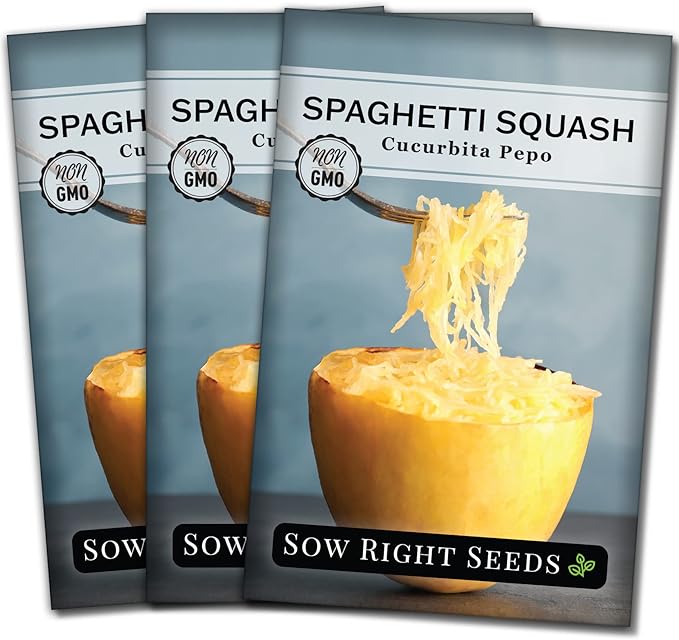 Sow Right Seeds - Spaghetti Squash Seeds for Planting - Non-GMO Heirloom Packet with Instructions to Plant and Grow an Outdoor Home Vegetable Garden - Roast and Enjoy Eating This Favorite Variety (3)