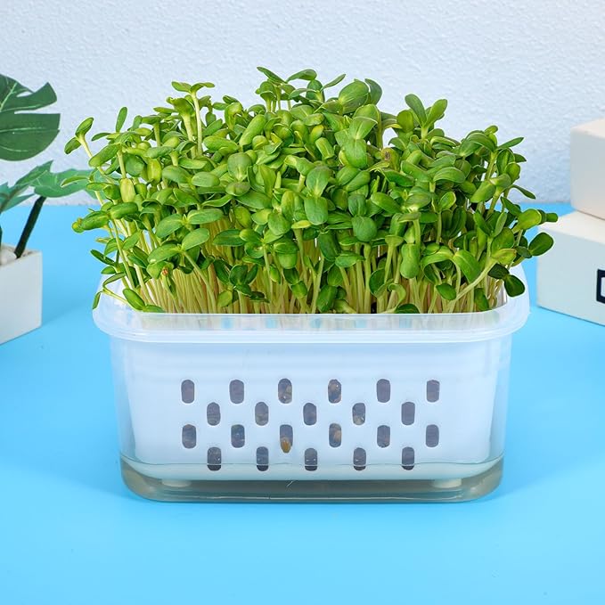 Germination Trays Small Seedling Pots for Plant Nursery with Drainage Holes, Soilless Sprouting Planters 2pcs, Greenhouse Accessories for Indoor Seed Starters