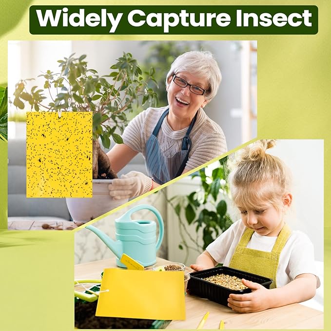 Qualirey 700 Pcs 6 x 8 Inch Yellow Sticky Traps for Plant Double Sided Sticky Trap with Twist Ties Fly Traps for Fruit Insect Fungus Bugs Indoor Outdoor