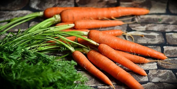 Black Duck Brand Set of 43 Vegetable and Herb Seeds - Semi Assorted - 100 Percent Non-GMO & Heirloom - Great for Starting a Garden! High Germination Rate! (43)