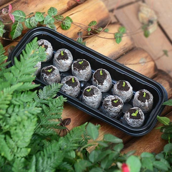 Propagation Tray 12-Cell Starter Kit - Seedling Plant Humidity Dome, Garden Plant Cloning Tray | Greenhouse Vegetable Flower Garden Yard Farm Growers Reusable Seed Germination Trays for Plants