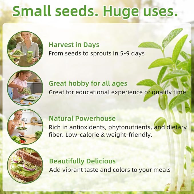 Organic Mung Bean Sprout Seeds (16 oz), Certified Non-GMO, Heirloom Seeds, Premium Mung Bean Sprouting Seeds for Sprouting and Microgreens, High Yield High Germination, Resealable Bag