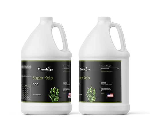 Chemboys Super Kelp Liquid Seaweed Fertilizer – Kelp Plant Food Supplement for Plant Growth Bloom & Yield Boost – Liquid Kelp Seaweed Concentrate Garden Fertilizer - 4 fl oz