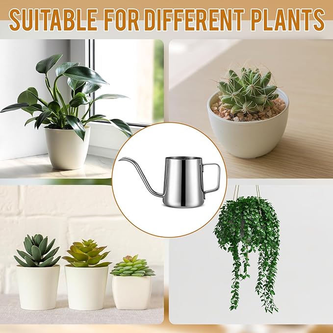 2 Pcs Small Watering Can for Indoor Plants, 12 Oz/350 ml Mini Plant Watering Pot with Long Spout and Scale 304 Stainless Steel Tiny Watering-can for Outdoor Indoor Plants Garden(Sliver)