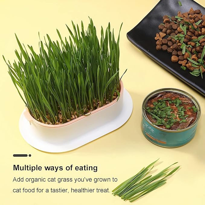 2Pcs Cat Grass Planter (No Seeds Included) Wheatgrass Planting Trays Hydroponic Cat Grass Growing Kits for Indoor Cats Soilless Organic Nursery Box Pet Grass Pot (N)