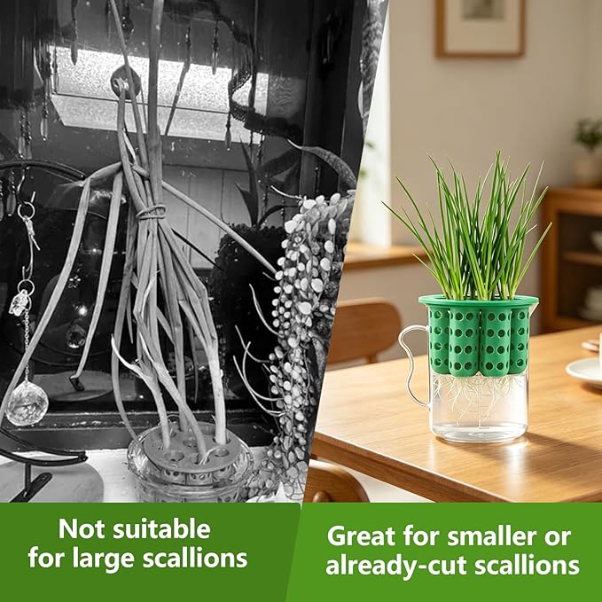 2Sets Green Onion Planter Scallion Grower Seed Sprouting Kit, 2 Green Onion Regrower Container and 2 Plastic Cups with Handle for Windowsill Garden Indoor Hydroponics Propagation Enthusiasts