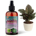 𝐁𝐄𝐒𝐓𝐒𝐄𝐋𝐋𝐄𝐑 Plant Superfood for CALATHEA Plants with B1 Vitamin, Glucose and Essential Minerals - Organic Plant Food Fertilizer for Indoor & Outdoor CALATHEA Plant Care - 8oz