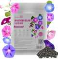 Morning Glory Seeds, Mix Color and Tall, Large Pack 1 Ounce Climbing Vine Flower Seeds Fast Growing for Planting Outdoors, Open Pollinated | Non-GMO | Heirloom | USDA 2-11