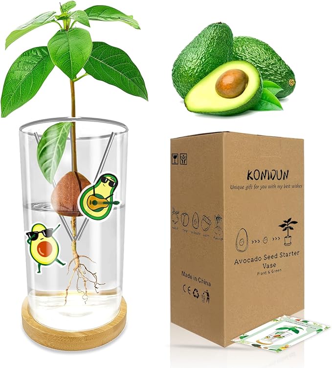 Avocado Seed Starter Vase - Avocado Tree Growing Kit with Base and Sticker, Glass Avocado Pit Sprouting Plant Pot Gift for Women, Gardening Lovers Home Office Table Decoration, Indoor No Seed