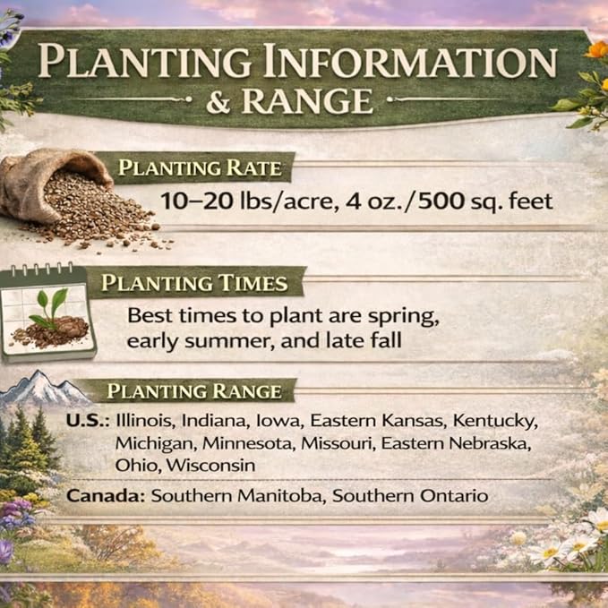 Wisconsin Bulk Perennial Wildflower Seed Mix 1/2lb Covers 1,000sq-ft - Attract Pollinators, Multi-Color Blooms - Midwest US Species Plant in Spring/Fall - Earth-Friendly Packaging (1/2 Pound)