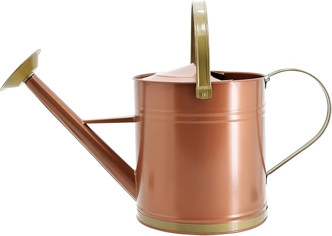 Classic Shiny Galvanized Metal Watering Can, Easy-Pour, Indoor and Outdoor, 2.6 gal, Shiny Galvanized Metal