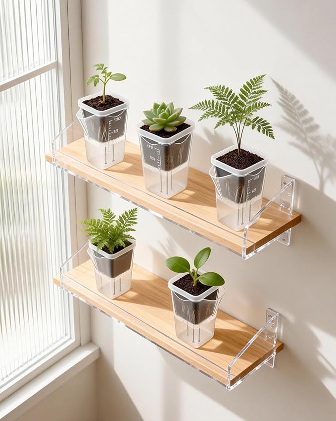 10 Pack 2" Mini Self Watering Pots for Indoor Plants, Clear Plastic Semi-Hydroponic Planter with Labels,Water Level for African Violet,Self Watering Pot for Propagation,Succulent,Seeding,Cutting