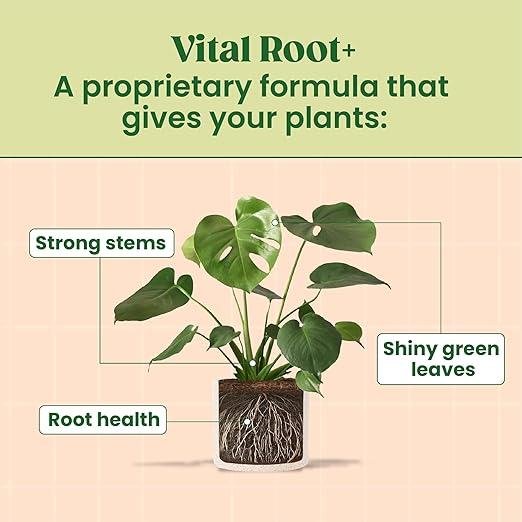 Root Rot Treatment & Plant Transplant Shock Recovery – Liquid Supplement for Indoor Plants, Fiddle Leaf Fig, Monstera & Pothos | Heals Roots, Prevents Brown Spots & Leaf Drop, 8 oz – Vital Root+