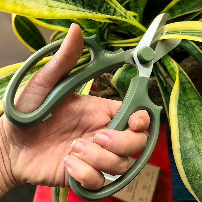 Garden Pruning Shears Scissors with Comfort Grip Handle, Premium Steel Professional Floral Scissors, Perfect for Arranging Flowers, Pruning, Trimming Plants, Gardening Tool (4PC Mix color)