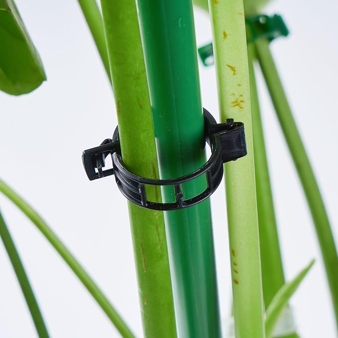 100Pcs Garden Vine Plant Support Clips,Plastic Fixing Clips for Securing and Training Climbing Plants,Tomatoes,Grapes,Vine Vegetables and Potted Plant (100, Black)