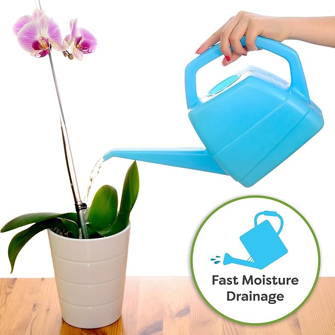 All Natural Orchid Potting Mix by Perfect Plants - 1 Quart Special Blend for Proper Root Development on All Orchid Plant Types