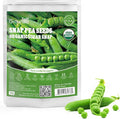 Sugar Snap Pea Seeds for Planting | Organic Non-GMO Vegetable Seeds for Planting Home Garden Indoor & Outdoor | Cool Season Crop,Super Productive