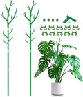Plant Support Stakes,Adjustable Height Branch Shape Plant rods for Small &Medium Monstera 2 3 4 Fee Tall Support Sticks for Climbing Plants,Garden Accessories,Alternative to Moss Poles,2 Sets 51"