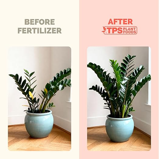 ZZ Plant Fertilizer – Liquid Plant Food for Glossy Green Leaves, Stronger Roots & Healthy New Growth, 8 oz