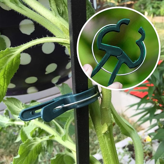 Plant Clips for Climbing Plants, Tomato Clips and Garden Clips for Vine Support, Plant Support Clips for Tomatoes and Garden use (Green, 120small)