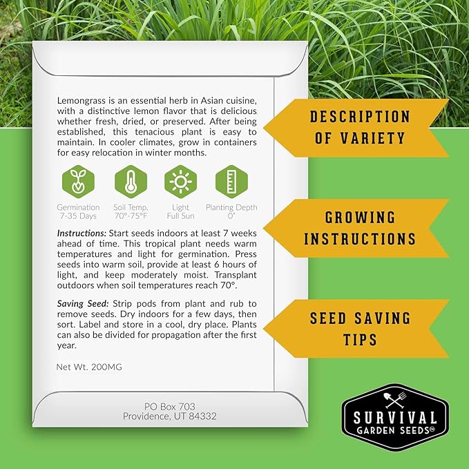 Lemongrass Seeds for Planting - Lemon Scented Asian Lemongrass for Your Home Vegetable Garden - Heirloom Non-GMO Open-Pollinated - Survival Garden Seeds (1 Pack)