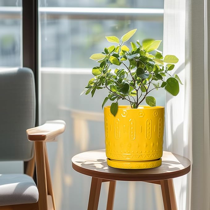 Eightpot 8 Inch Plant Pot, Ceramic Pots for Plants with Drainage Hole and Sacuer, Round Flower Pots for Indoor Outdoor Plants, Modern Decorative Planter, Table Decor, Plant Gifts for Women, Yellow