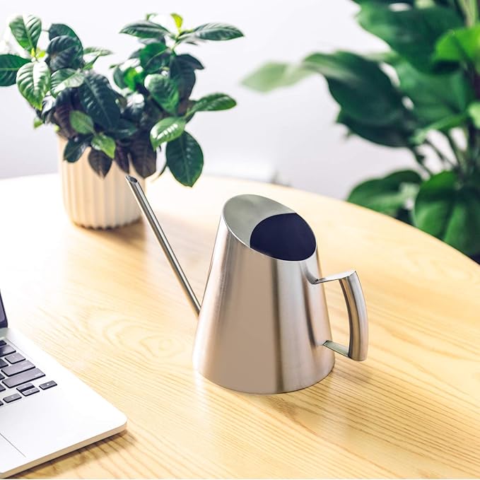 IMEEA Indoor Watering Can Stainless Steel Watering Can for Indoor Plants with Long Spout, 50oz/1.5L