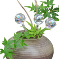 Small Plant Watering Globes 3 Pack, Glass Watering Globes, Plant Watering Globes, Small Watering Globes for Indoor Plants
