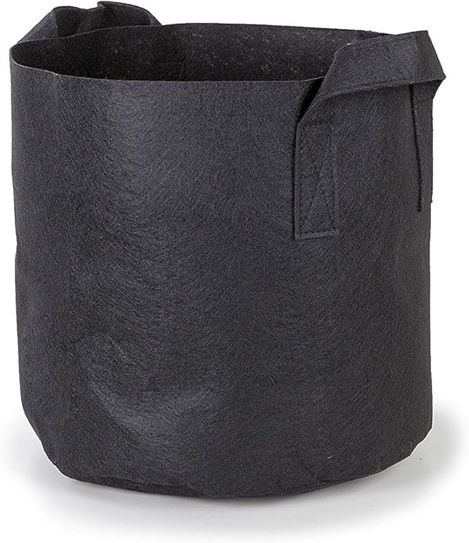 247Garden 5-Pack 10-Gallon Aeration Fabric Pot/Plant Grow Bag w/Handles (260 GSM, Black, 13H x 15D)