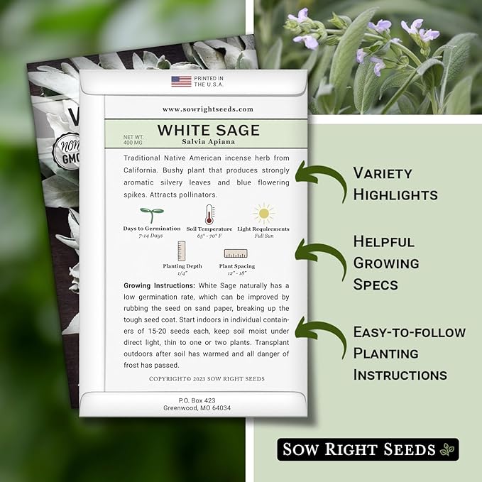 Sow Right Seeds - White Sage Seed for Planting - Non-GMO Heirloom Packet with Instructions for Planting and Growing a Home Herb Garden - Indoors or Outdoors - Make Your Own Herbal Incense (1)