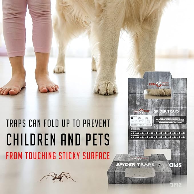 Spider Traps for Inside Your Home (30 Traps) - Spider Catcher Insect Traps Indoor - Spider Traps Indoor Bug Traps Sticky Traps for Spiders - Pre Baited Ultra Sticky Insect Glue Traps - Trap a Pest