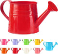 Tinplate Watering Kettle, 1L Metal Garden Watering Can, Vintage Sprinkling Can for Flowers, Indoor & Outdoor Plants, Lawn & Garden Irrigation Tool (Red)