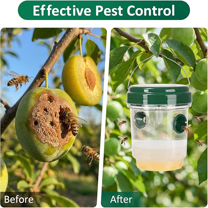 3 Pack Wasp Traps Outdoor Hanging