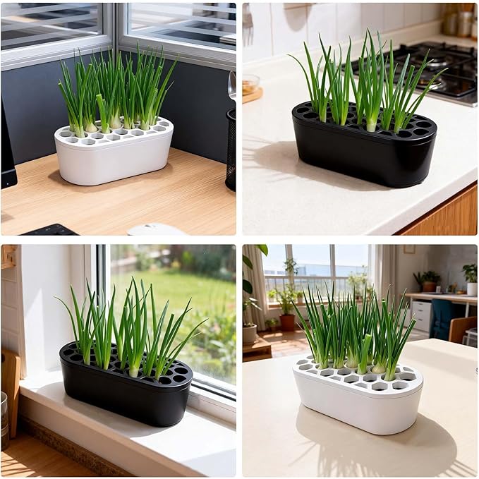 3D Printed Green Onion Planter Trays | Plant Propagation and Seedling Starter Trays for Indoor Gardening | Reusable Nursery Pots for Home, Office, Dorm (Black)
