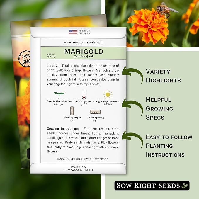Sow Right Seeds Crackerjack African Marigold Seeds for Planting - Non-GMO Heirloom Seed Packet with Instructions - Companion Plant - Orange & Yellow Blooms Attract Pollinators, Deter Mosquitoes (3)