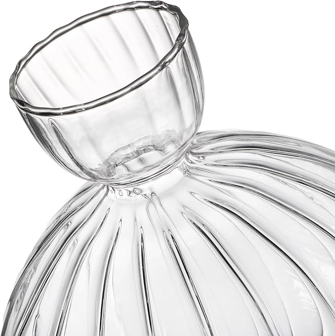 Avocado Seed Sprout Starter Vase Planter Pot, Avocado Tree Growing Vase Glass Container, Clear Striped Glass Propagation Jars for Hydroponics Plants Home Office Decoration