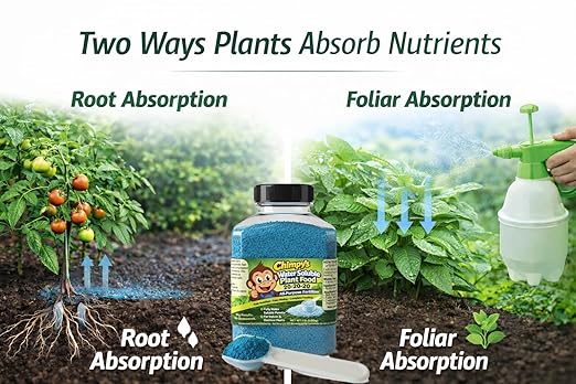 Chimpy's 20-20-20 Complete Water-Soluble Plant Food - 16oz Professional Grade Fertilizer with Measuring Scoop for Indoor Outdoor Plants, Vegetables & Flowers
