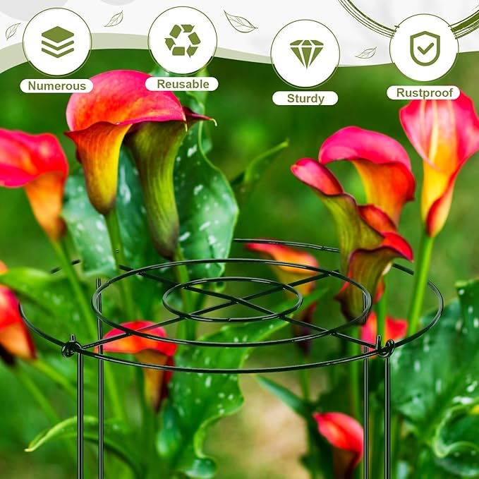 Geelin 24 Pack Peony Cages Bulk 12 x 16'' Peony Cage and Supports for Outdoor Plants Grow Through Heavy Duty Metal Plant Supports Frame Rings Hoops 4 Legs for Flowers Tomato Rose Hydrangea Strawberry