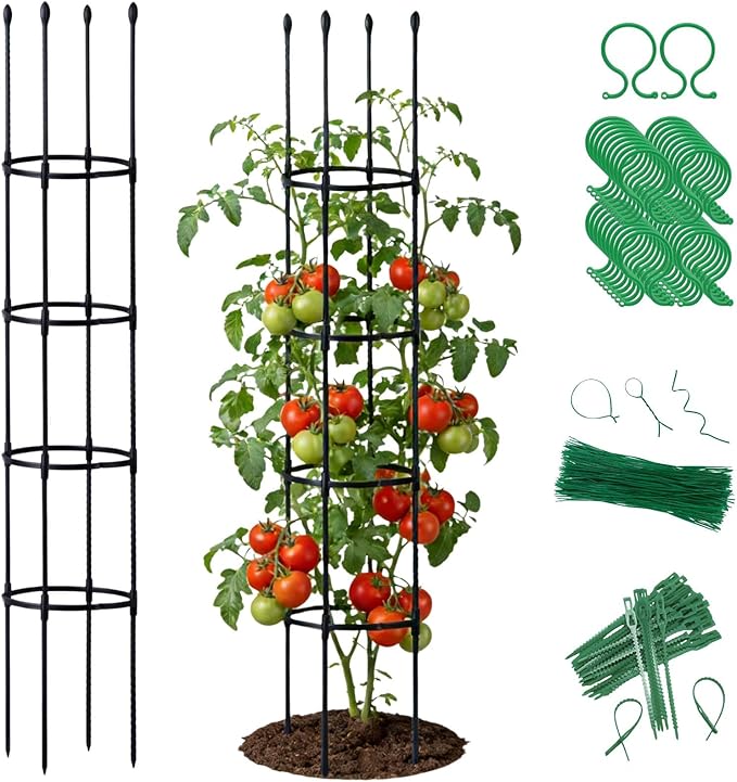 2 Pack Tomato Cages for Garden | Heavy Duty Rustproof Round Tomato Cage | 63 Inch Steel Core Plastic Coated Garden Trellis Plant Support for Tomato, Cucumber, Beans, Flower, Vegetable Indoor Outdoor