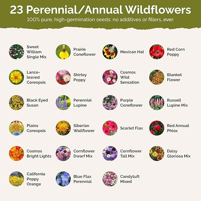 Eden Brothers Ohio Wildflower Mixed Seeds for Planting, 5 lbs, 2,400,000+ Seeds with Sweet William, Cornflower | Attracts Pollinators, Plant in Spring or Fall, Zones
