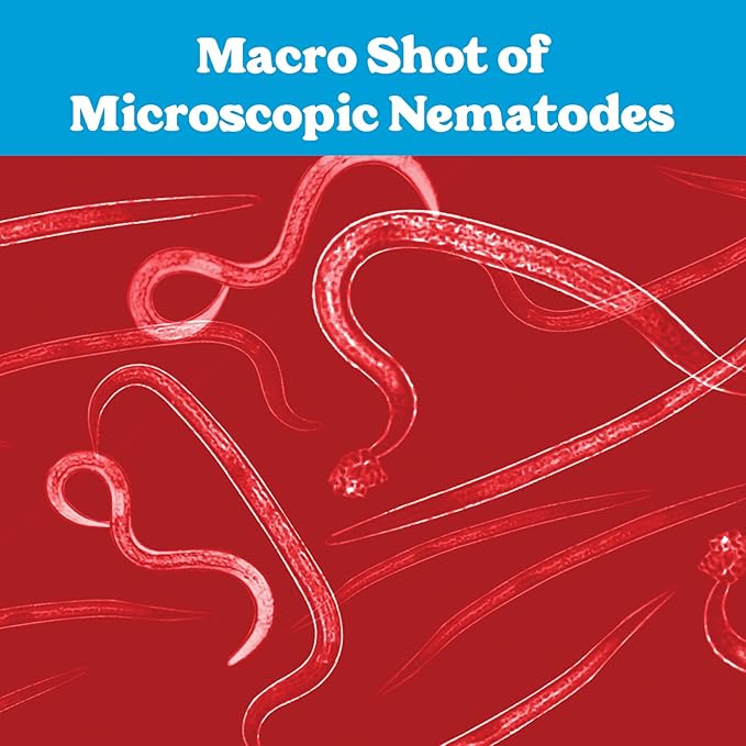 Live Beneficial Nematodes Hb+Sc+Sf - Kills Over 200 Different Species of Soil Dwelling and Wood Boring Insects. (5 Million_Nematodes)