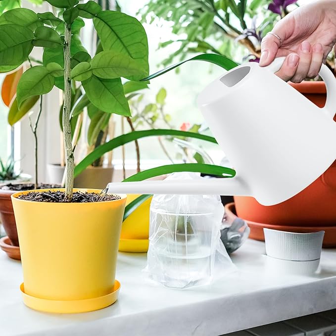 Indoor and Outdoor Watering Can - Long Spout -1/2 Gallon (64oz) - White