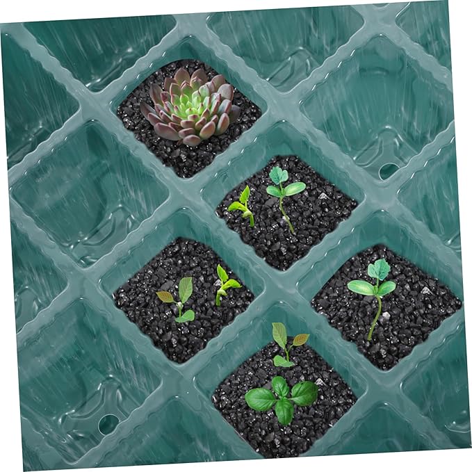 Milisten 2sets Seed Starting Kit Grow Light Cell Trays for Optimal Germination Complete Starter System Timed Lighting for Indoor Gardening