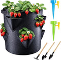 6-Piece Strawberry Planting Kit with Tool Set and Watering Devices, Potato Grow Bags,Potato Growing Containers for Garden Planting, Potato Bags for Growing Potatoes and Plant Cultivation
