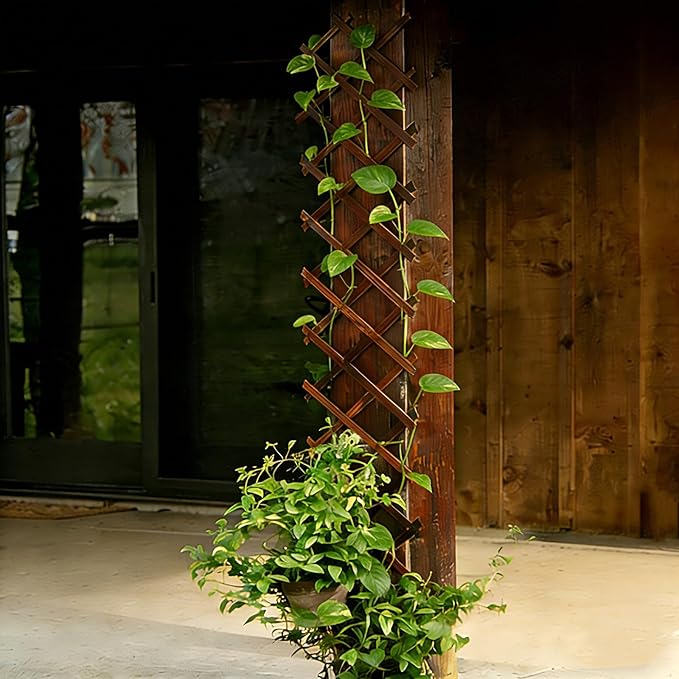 Expandable Garden Trellis, Wooden Lattice Wall Fence Trellis for Climbing Plants Ivy Vine Rose Clematis 13" x 68" for Outdoor Garden Patio Room Decor (1)