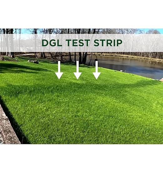 The Andersons Professional DGL Dark Green Lawn™ 25-0-0 Fertilizer - Covers 5,000 sqft. (18lb. Bag)