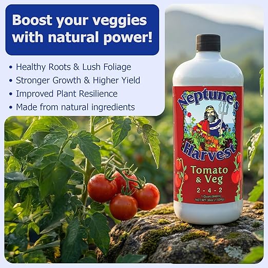 Neptune’s Harvest Organic Tomato & Vegetable Plant Fertilizer (2-4-2) - 36oz Bottle (Pack of 2) - Liquid Plant Food w/Fresh Fish, Seaweed, Molasses, Yucca Extract, & Humic Acids - for Vegetable Garden